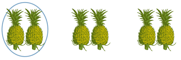 3 groups of 2 pineapples. Outline around 1 group.