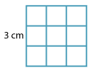 A 3 centimetre by 3 centimetre square, with one-centimetre grids marked.