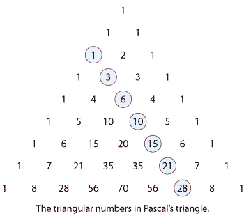 The triangular numbers in Pascal's triangle.