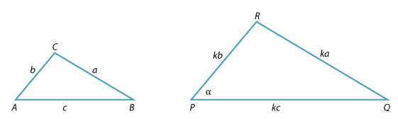 Two similar SSS triangles.