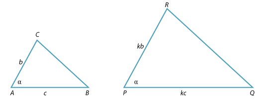 Two SAS triangles.